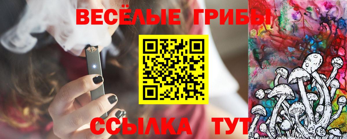 Галлюциногенные грибы Psilocybine cubensis  Вход с VPN  Новочеркасск 