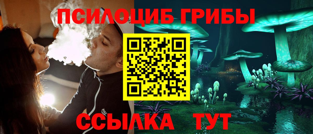 Псилоцибиновые грибы GOLDEN TEACHER Новочеркасск